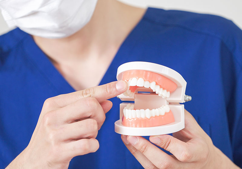 矯正治療を専門に行う歯科医師が健康的で美しい歯並びを叶える